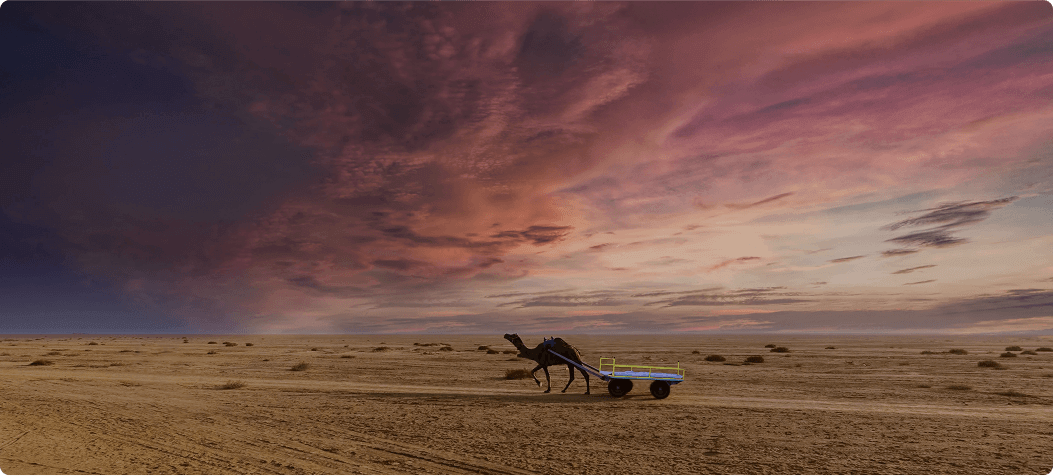 1N / 2D Kutch Tour